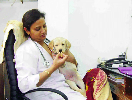 Best Veterinary Clinics in Adarsh Nagar, Delhi - Book Instant Appointment, View Fees, Feedbacks, Contact Numbers Best Veterinary Clinics in Adarsh Nagar, Delhi - Book Instant Appointment, View Fees, Feedbacks, Contact Numbers