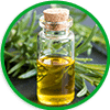 Rosemary Oil