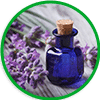 Lavender Oil