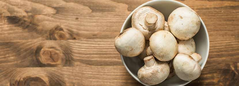 Benefits of Mushroom And Its Side Effects | Lybrate