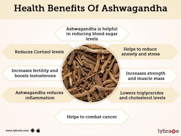 AshwagAndha Benefits And Its Side Effects | Lybrate