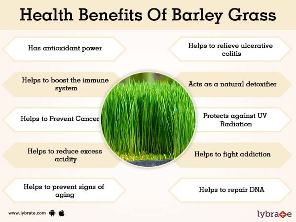 Benefits of Barley Grass And Its Side Effects | Lybrate