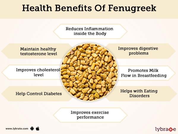 Fenugreek Benefits And Its Side Effects | Lybrate