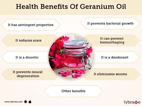 Benefits Geranium And Side Effects |