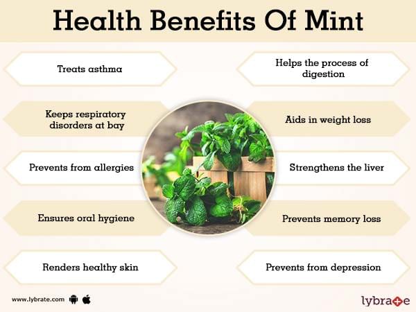 Health Benefits Of Mint 