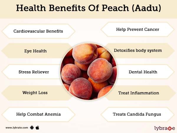 What Is Benefits Of Peach Fruits For Health Tech Traver