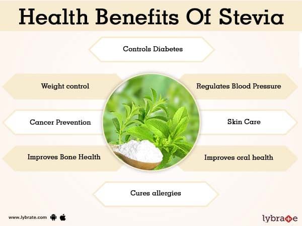 Из какого ингредиента получают филобиома актив. Stevia for diabet ppt. Herbal Additive ledymol. Stevia pollinated and unpollinated Flower. Jala Neti: procedure, Health benefits and Side Effects.