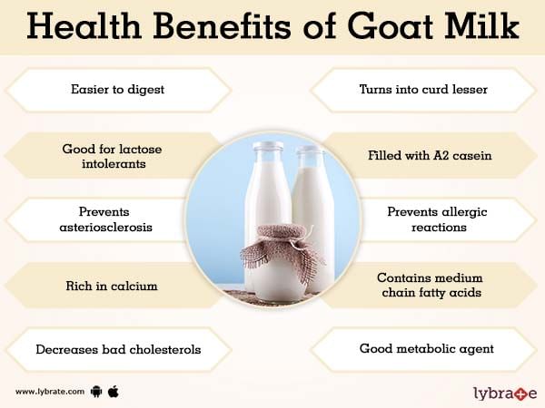 Goat Milk Benefits And Its Side Effects | Lybrate