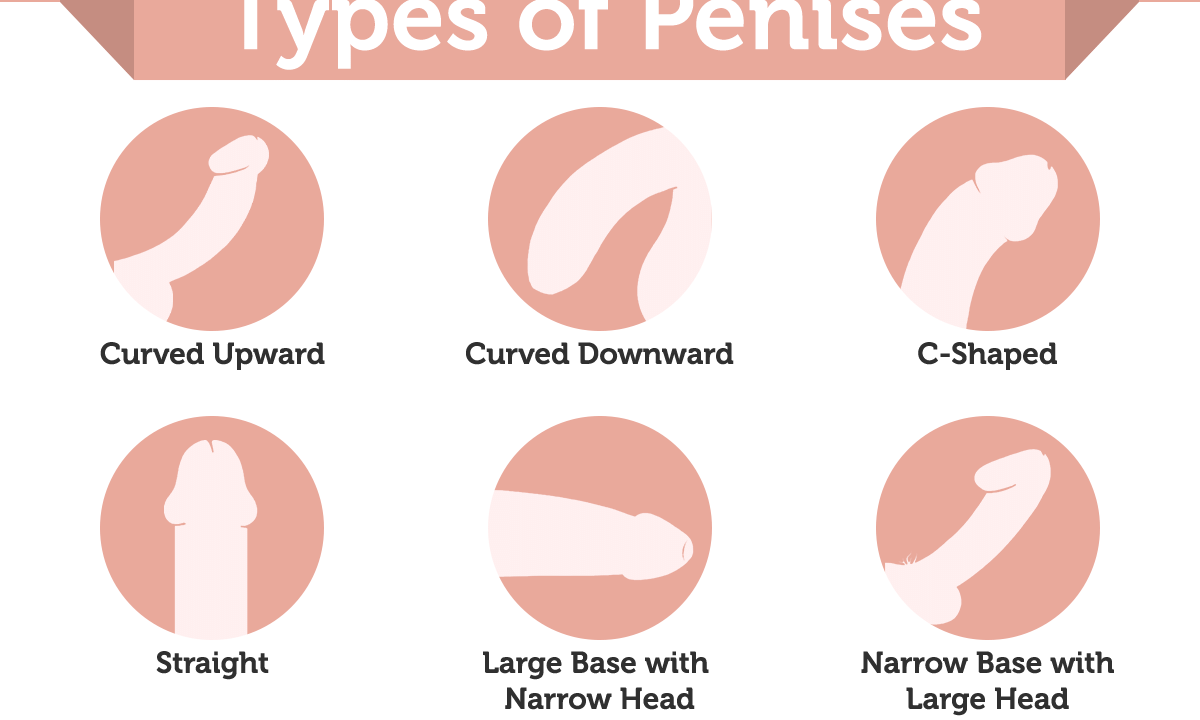 Imitatie Schrijfmachine Terzijde Curved Penis Tips & Advice From Top Doctors | Lybrate