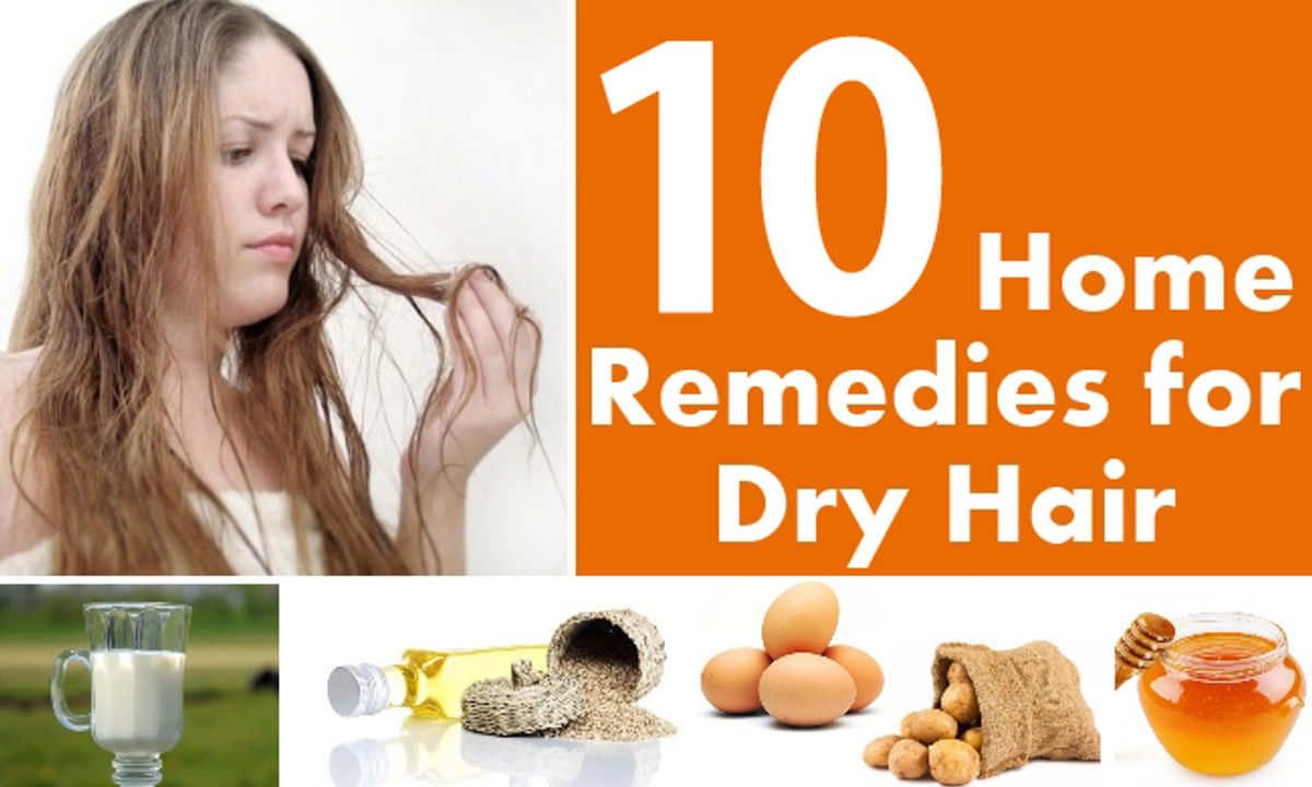 8 Home Remedies to Soften Dry and Rough Hair  Makeupandbeautycom