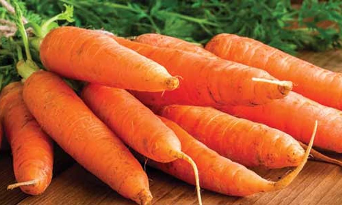 Benefits of Carrot And Its Side Effects | Lybrate