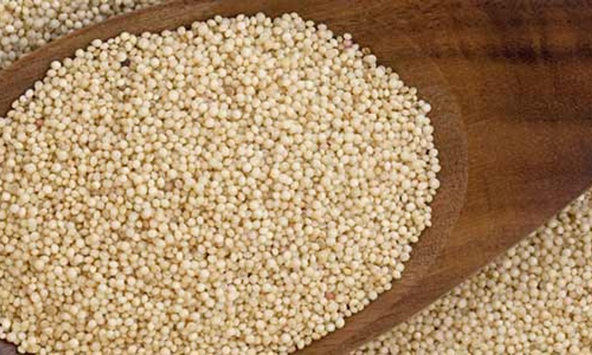 Benefits of Amaranth Grain And Its Side Effects | Lybrate