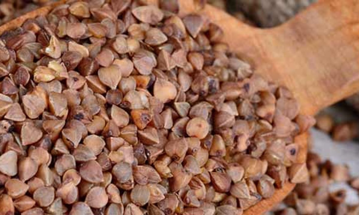 Buckwheat Buckwheat: Health