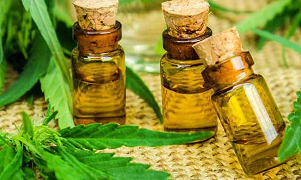 Plain Packaging – Sativa – Oil – Prairie Cannabis