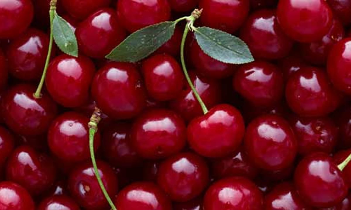 Cherry Benefits And Its Side Effects | Lybrate