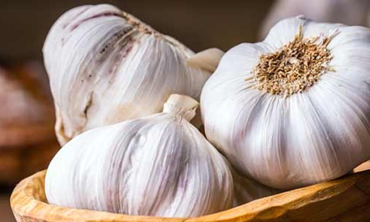 Benefits of Garlic And Its Side Effects | Lybrate