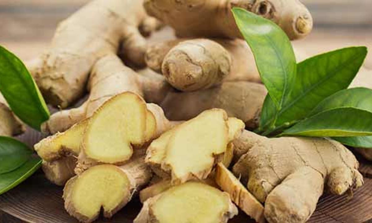 Ginger (Adrak) Benefits And Its Side Effects | Lybrate