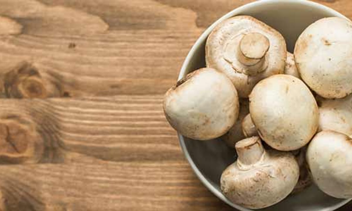 Benefits of Mushroom And Its Side Effects | Lybrate Benefits of Mushroom And Its Side Effects | Lybrate