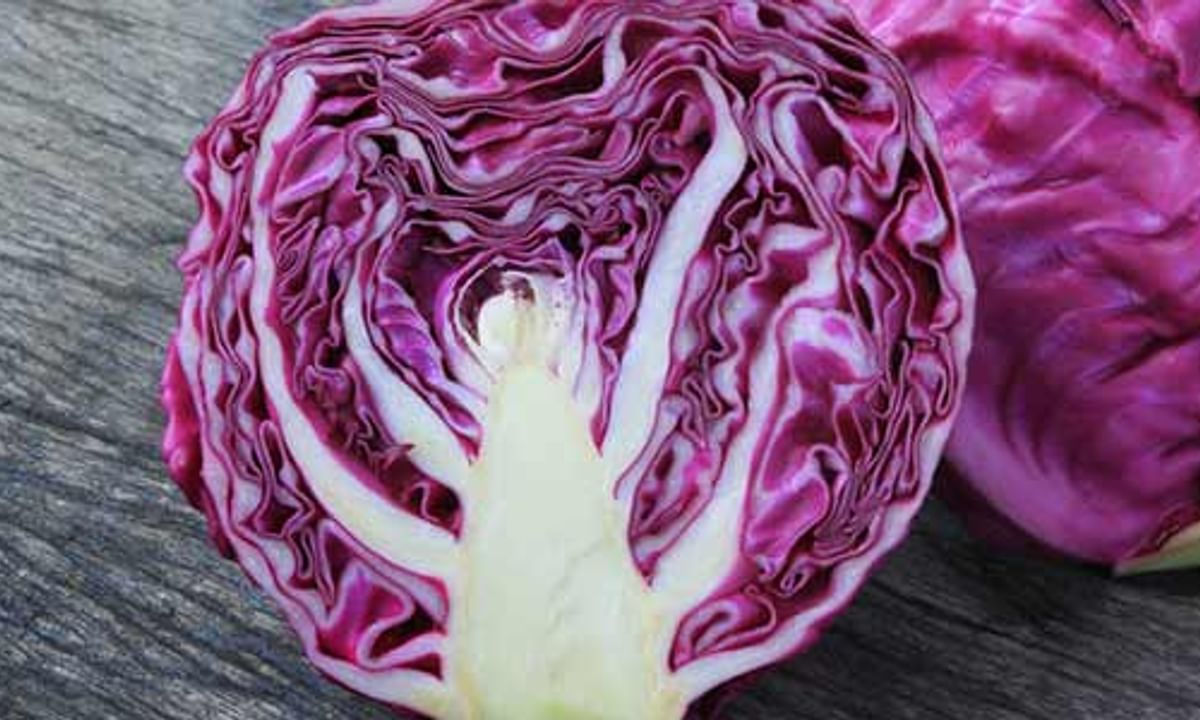 Red Cabbage And Its Side Effects | Lybrate