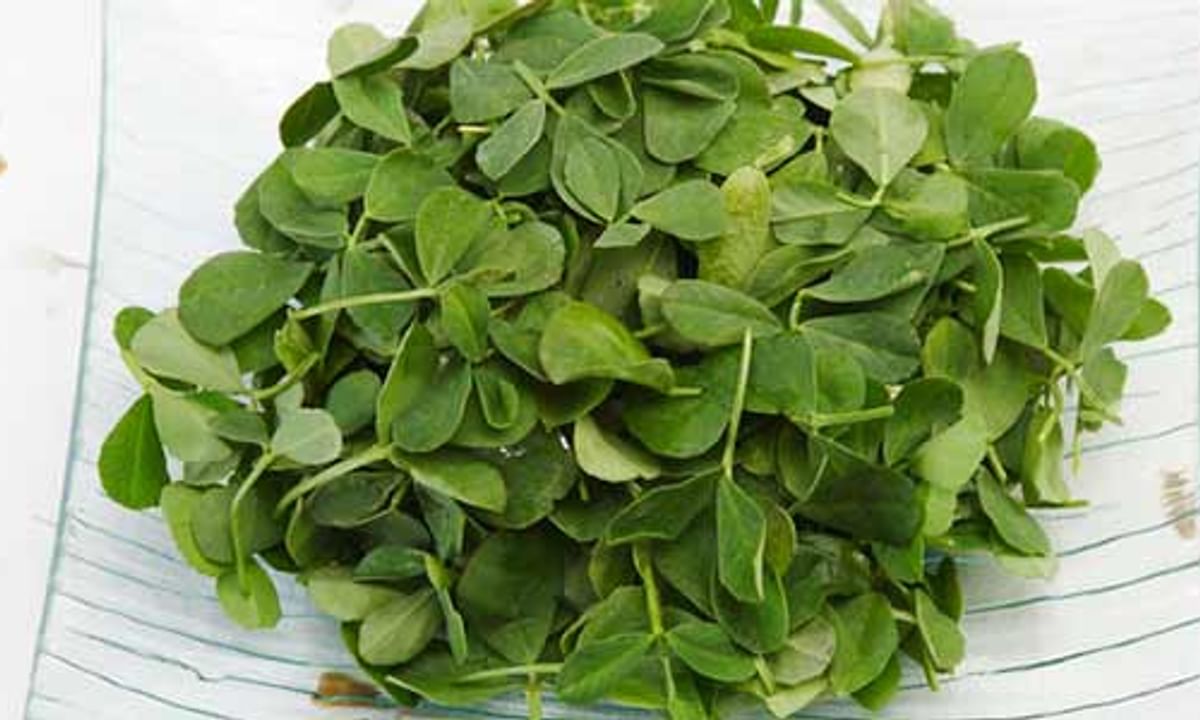 Fenugreek Leaves (Kasuri Methi) Benefits And Its Side Effects | Lybrate