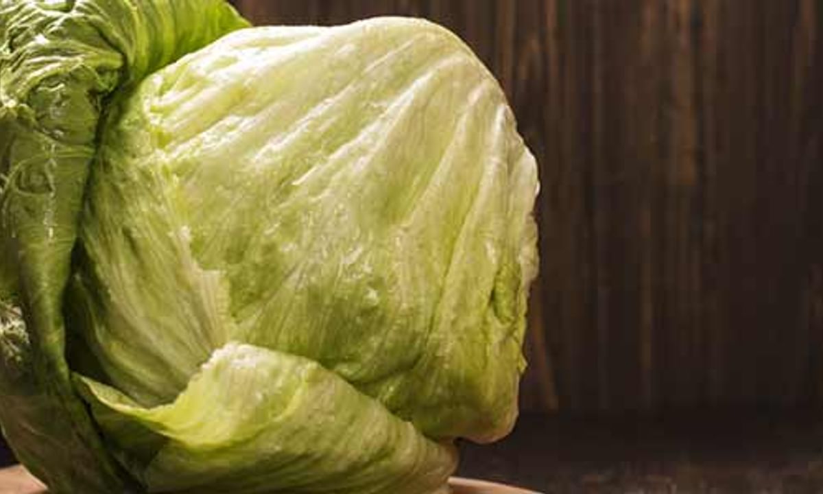 Benefits Of Iceberg Lettuce And Its Side Effects Lybrate