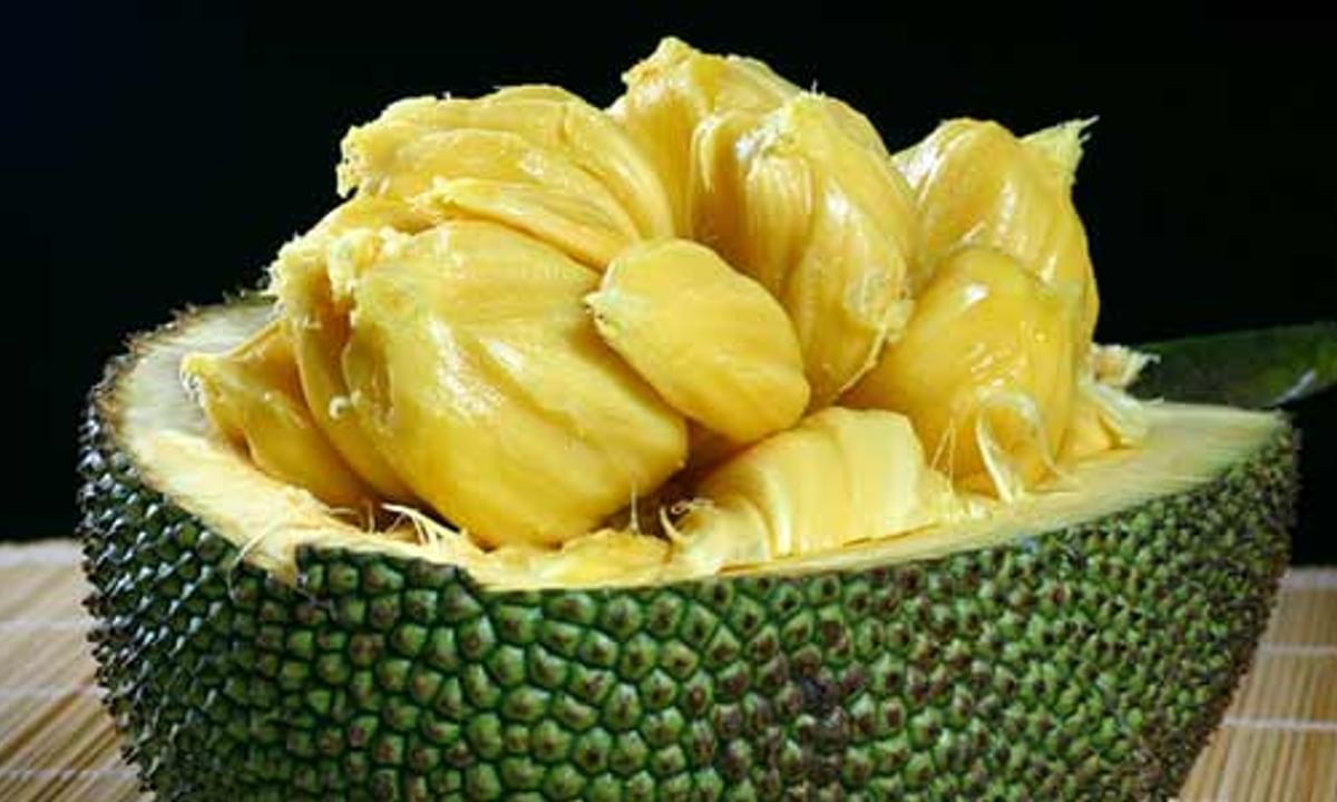 Jackfruit (Kathal) Benefits And Its Side Effects | Lybrate