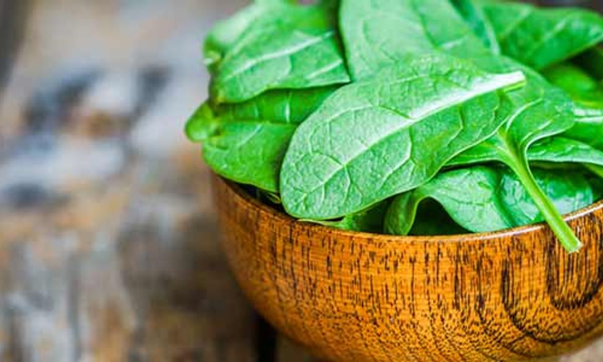 Benefits of Spinach And Its Side Effects | Lybrate