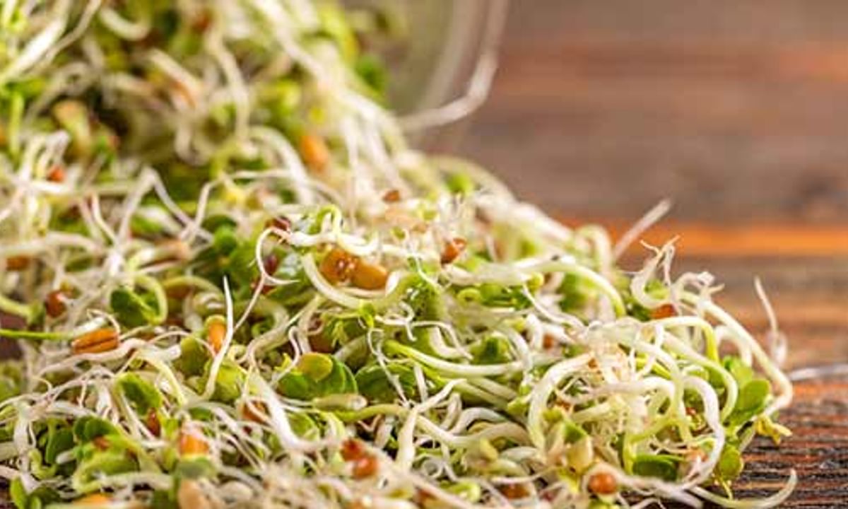 Sprouts Benefits And Its Side Effects | Lybrate