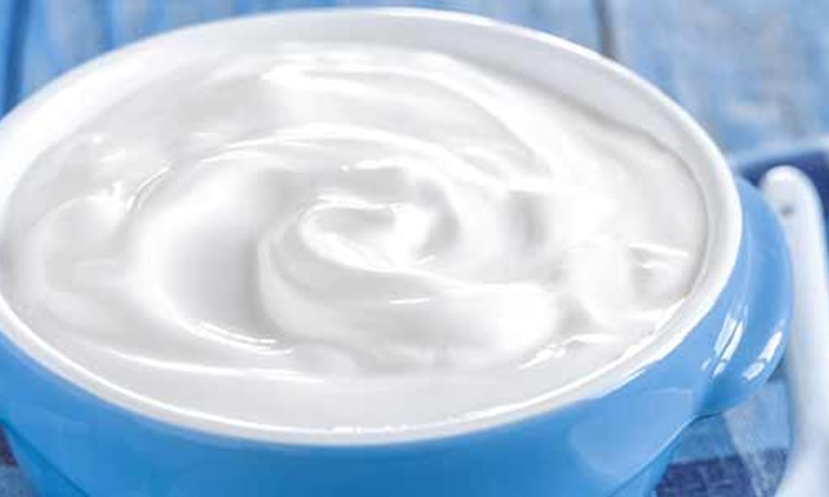 Yogurt For Hair Masks For Hair Growth  Benefits  StyleCraze