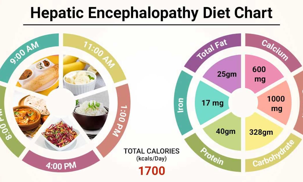 Diet Chart For Hepatic Encephalopathy Patient, Hepatic Encephalopathy Diet  Chart | Lybrate.