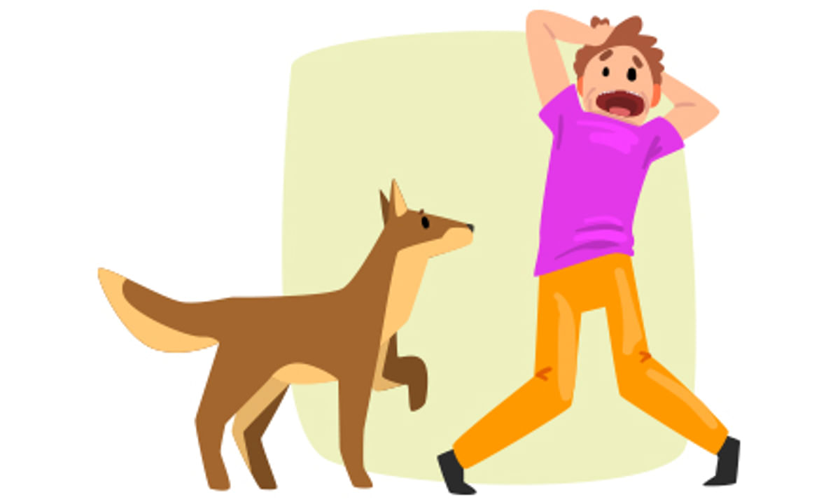 Cynophobia: An Overview On The Fear of Dogs