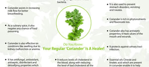 Coriander Dhaniya Benefits And Its Side Effects Lybrate