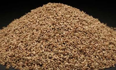 Ajwain Carom Seeds Benefits And Its Side Effects Lybrate Advantages and disadvantages of computers. ajwain carom seeds benefits and its