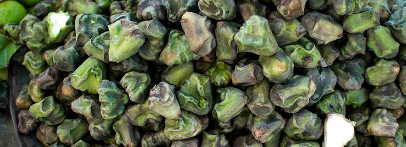 Singhara Benefits And Its Side Effects Lybrate Getting pregnant pregnancy first year toddler and beyond teen moments ask the expert videos singhara atta. singhara benefits and its side effects