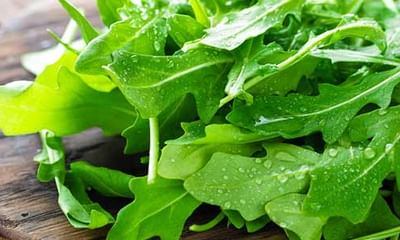 Benefits Of Arugula And Its Side Effects Lybrate