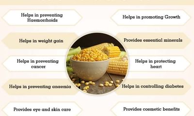 Corn Benefits And Its Side Effects Lybrate