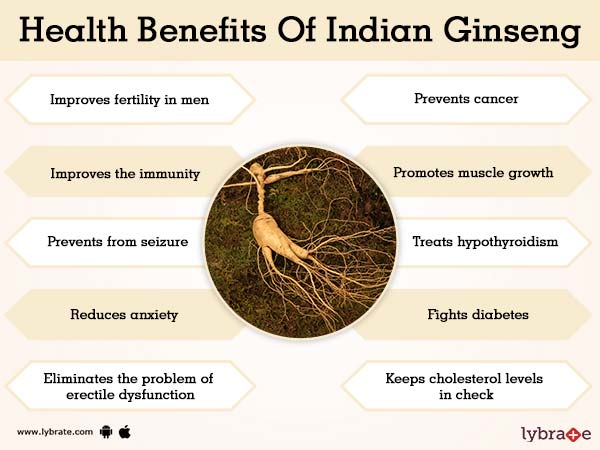 Benefits Of Indian Ginseng And Its Side Effects Lybrate