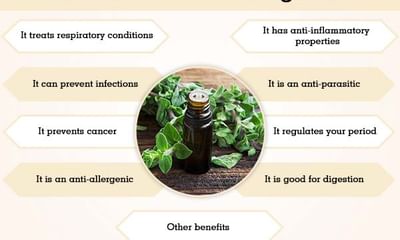 Benefits Of Oregano Oil And Its Side Effects Lybrate