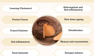 Elephant Foot Yam Jimikand Benefits And Its Side Effects Lybrate