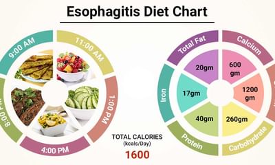Diet Chart For esophagitis Patient, Esophagitis Diet chart ...