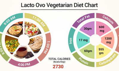Diet Chart For Lacto Ovo Vegetarian Patient Lacto Ovo Vegetarian Diet Chart Lybrate
