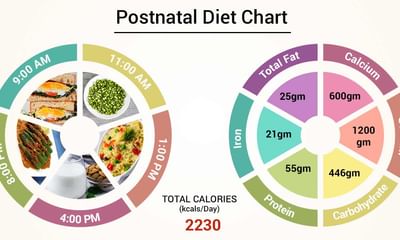 Postnatal Diet Chart