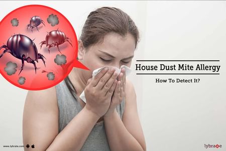 Dust mite