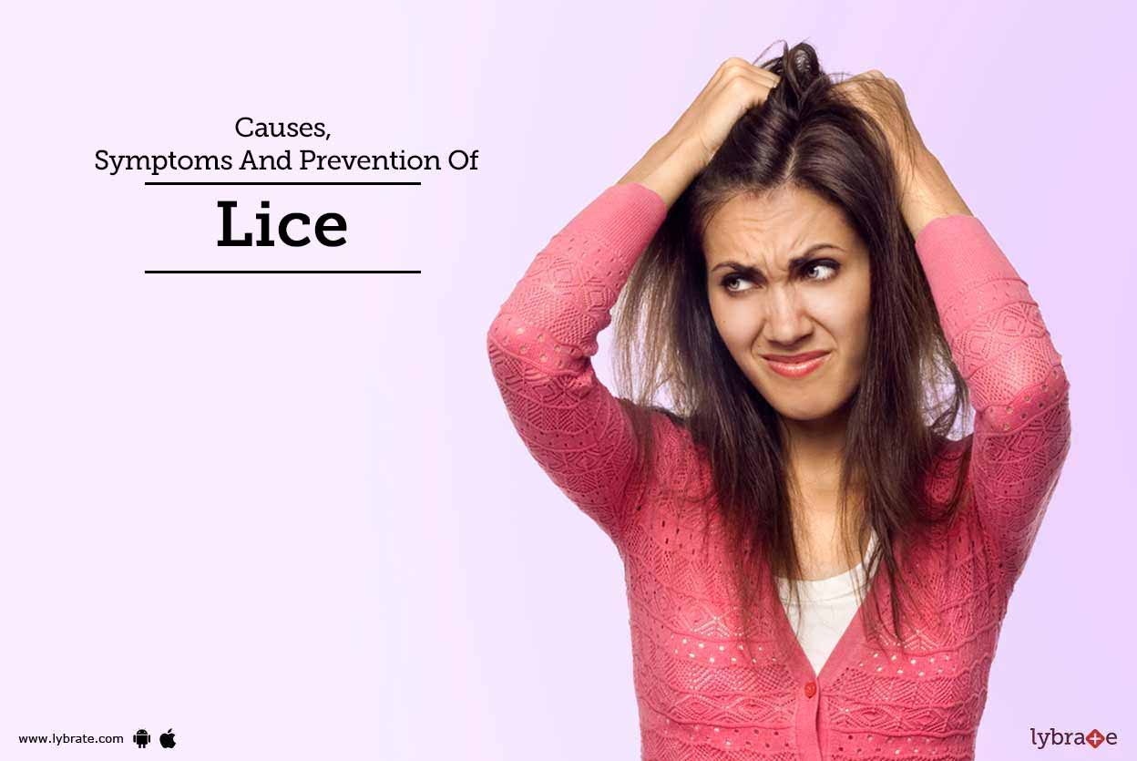 Causes Symptoms And Prevention Of Lice By Dr Anil Ganjoo Lybrate