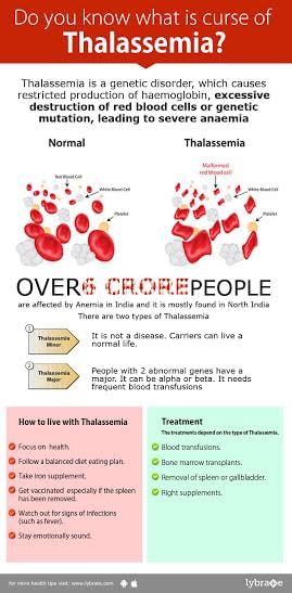 thalassemia-causes-treatment-options-and-long-term-health-outcomes