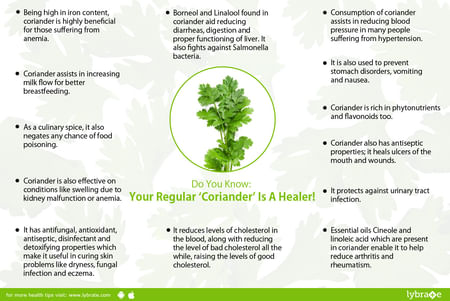 Benefits Of Coriander And Its Side Effects Lybrate