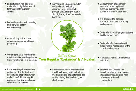 Coriander Dhaniya Benefits And Its Side Effects Lybrate