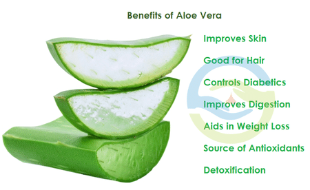 Surprising Benefits Of Aloe Vera - By Dr. Prashant K Vaidya | Lybrate