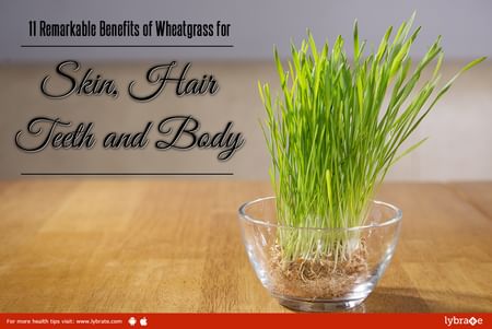 11 Benefits of Wheatgrass for Skin, Hair and More - By Dr. Prabha Jindal | Lybrate 11 Benefits of Wheatgrass for Skin, Hair and More - By Dr. Prabha Jindal | Lybrate