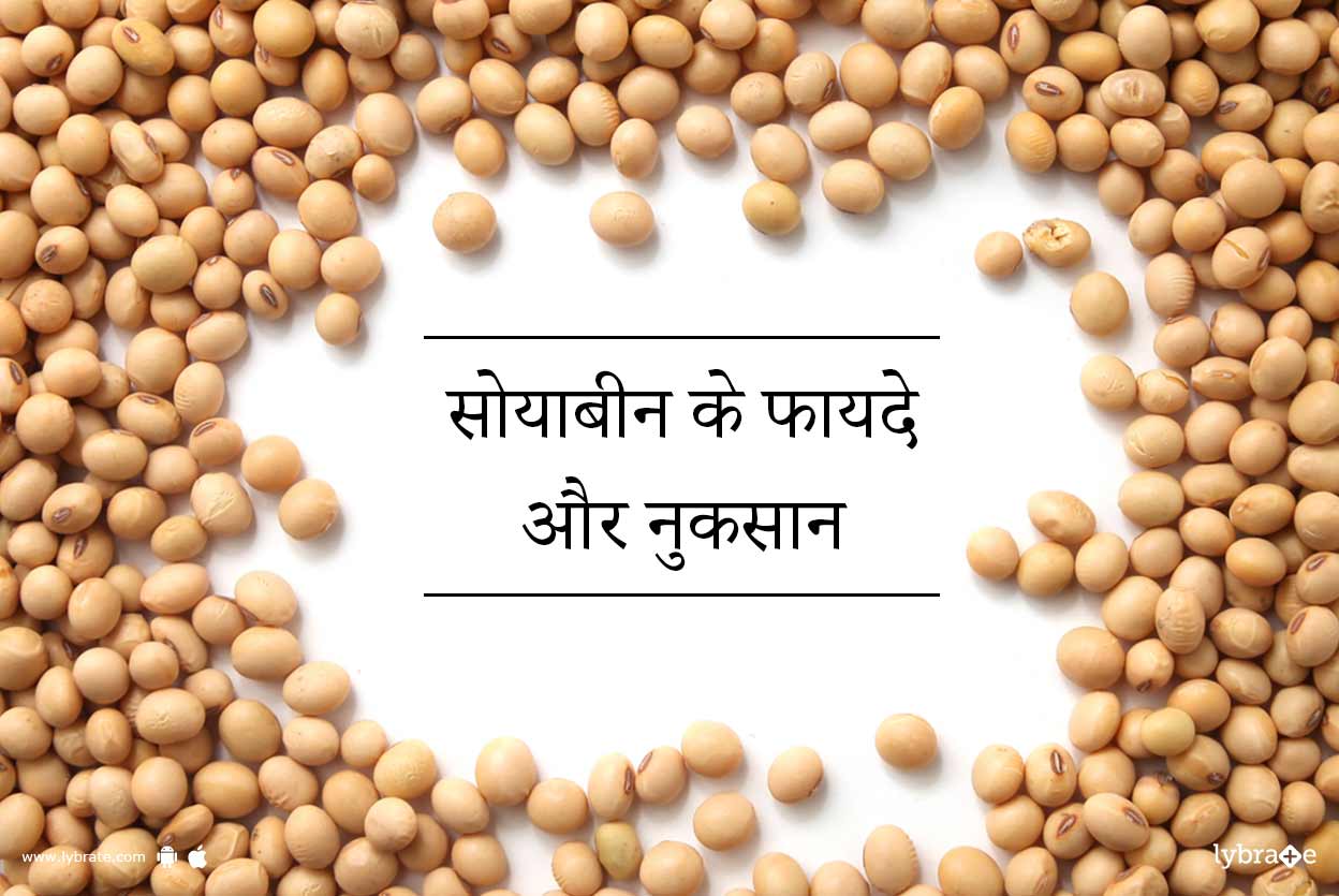 Benefits Of Soybean And Its Side Effects Lybrate